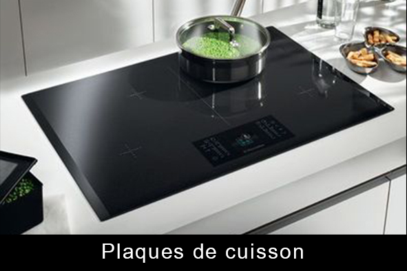 Plaque electromenager vosges